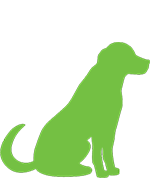dog-(1)